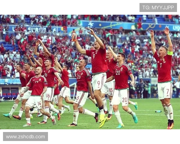 匈牙利足球传奇人物的辉煌历程与伟大成就探秘