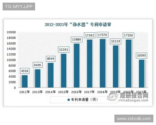 冰岛足球明星现状分析与未来发展展望