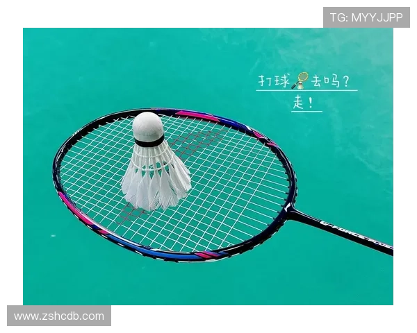 杭州羽毛球队状态分析与未来展望聚焦羽毛球运动的蓬勃发展